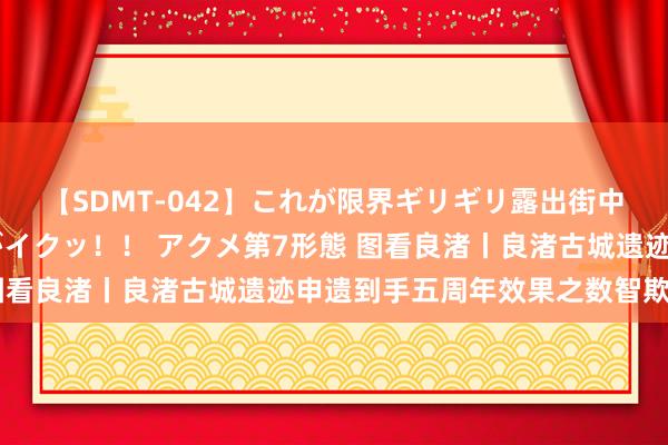 【SDMT-042】これが限界ギリギリ露出街中潮吹き アクメ自転車がイクッ!! アクメ第7形態 图看良渚丨良渚古城遗迹申遗到手五周年效果之数智欺诈篇