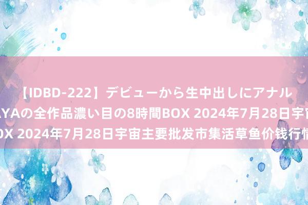【IDBD-222】デビューから生中出しにアナルまで!最強の芸能人AYAの全作品濃い目の8時間BOX 2024年7月28日宇宙主要批发市集活草鱼价钱行情
