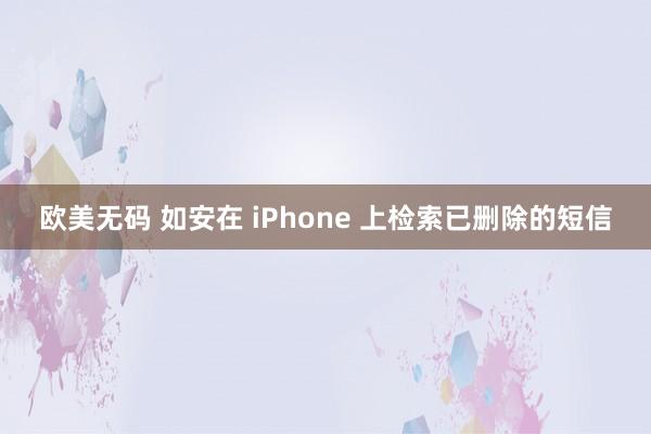 欧美无码 如安在 iPhone 上检索已删除的短信