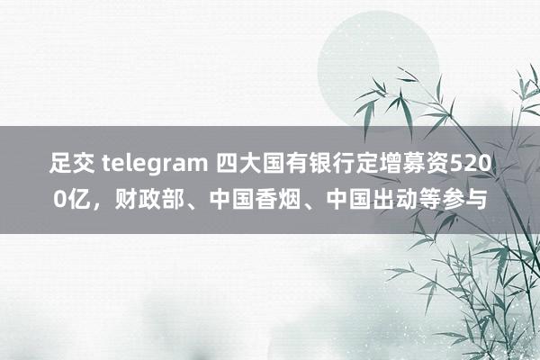 足交 telegram 四大国有银行定增募资5200亿，财政部、中国香烟、中国出