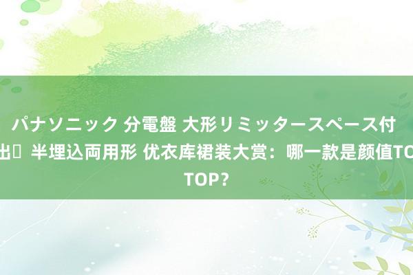 パナソニック 分電盤 大形リミッタースペース付 露出・半埋込両用形 优衣库裙装大