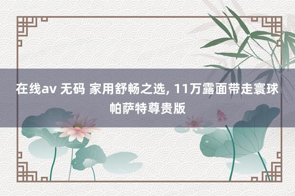 在线av 无码 家用舒畅之选, 11万露面带走寰球帕萨特尊贵版