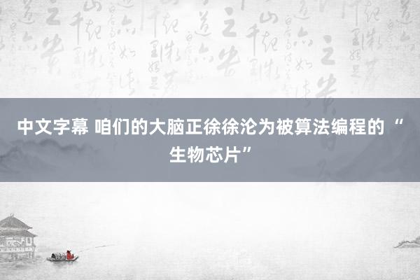 中文字幕 咱们的大脑正徐徐沦为被算法编程的 “生物芯片”