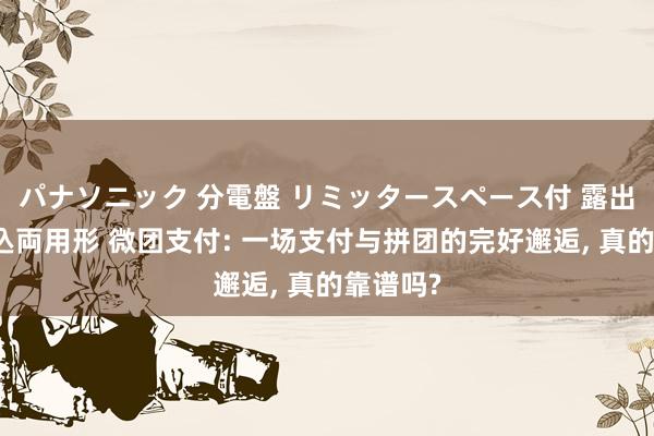 パナソニック 分電盤 リミッタースペース付 露出・半埋込両用形 微团支付: 一场