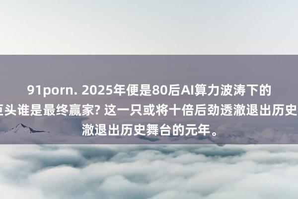 91porn. 2025年便是80后AI算力波涛下的后劲股: 三巨头谁是最终赢家