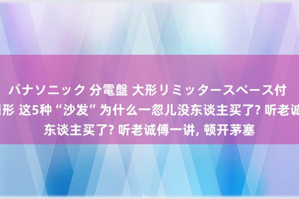 パナソニック 分電盤 大形リミッタースペース付 露出・半埋込両用形 这5种“沙发