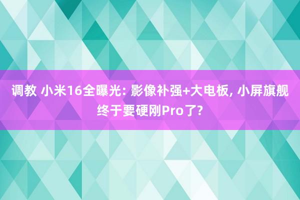调教 小米16全曝光: 影像补强+大电板, 小屏旗舰终于要硬刚Pro了?