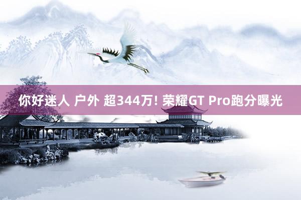 你好迷人 户外 超344万! 荣耀GT Pro跑分曝光