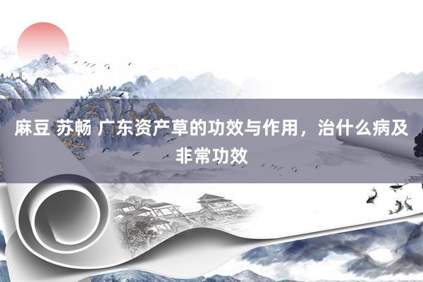 麻豆 苏畅 广东资产草的功效与作用，治什么病及非常功效