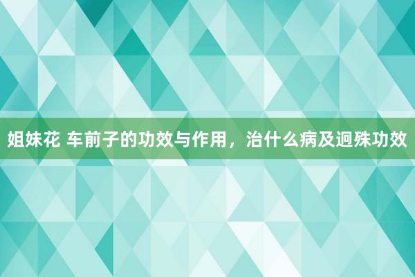 姐妹花 车前子的功效与作用，治什么病及迥殊功效