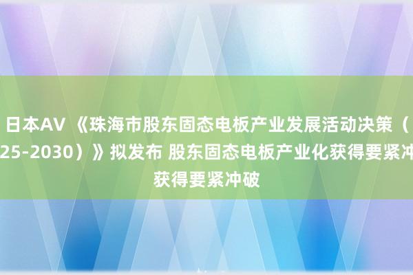 日本AV 《珠海市股东固态电板产业发展活动决策（2025-2030）》拟发布 股